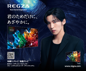 TVS REGZA 株式会社